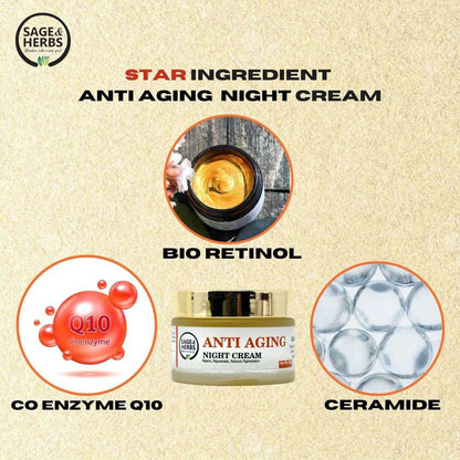 Anti Aging Night Cream